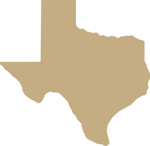 gold-texas-icon